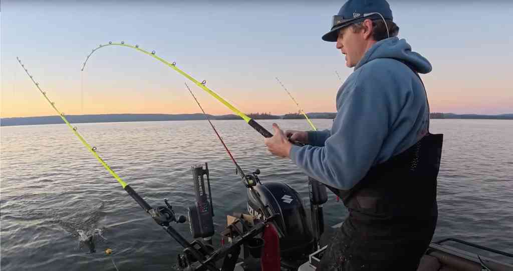 An angler battles a catfish on a neon Hellcat rod at twilight, with the fish’s swirl visible by the boat.